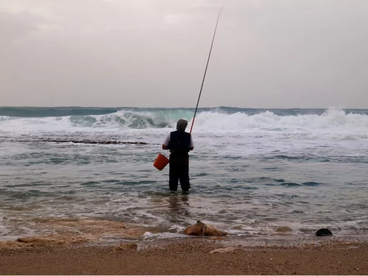 Инсинераторов для утилизации отходов