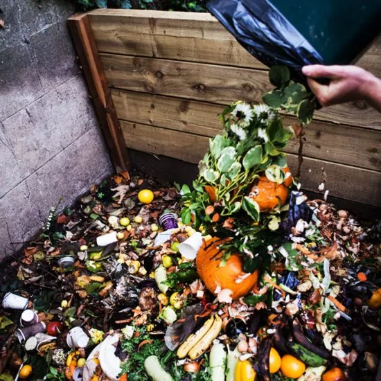 инсинератор для кремации животных