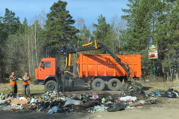 купить инсинератор