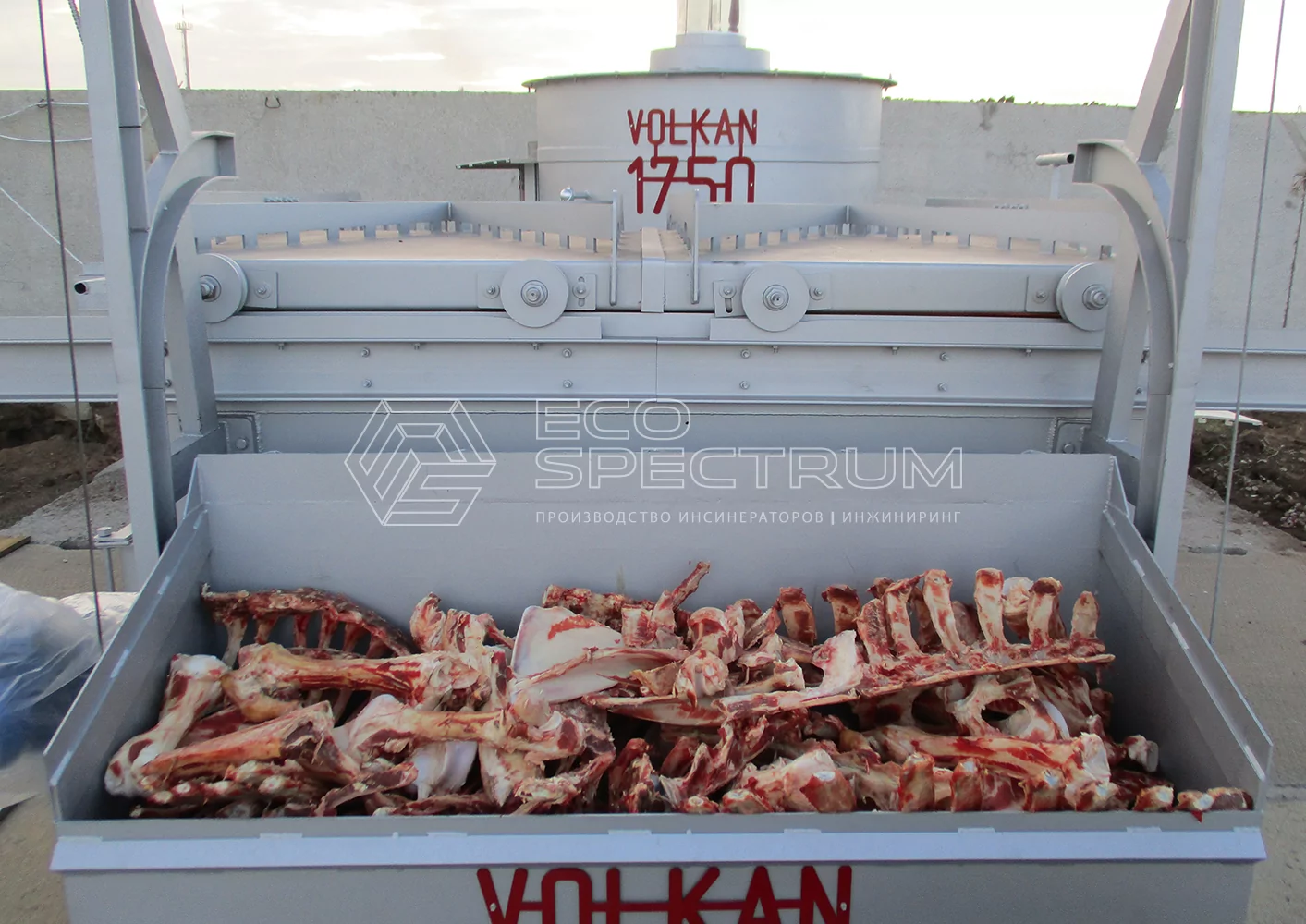 Правила обращения с ветеринарными отходами