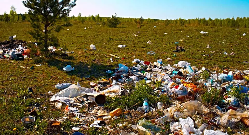 Купить инсинератор от компании Эко-Спектрум. Стихийные свалки