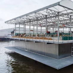 Европейские экофермы - в Роттердаме построили плавучую ферму для коров