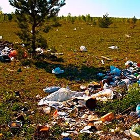 Нормативы загрязнения окружающей среды: проблемы экологии