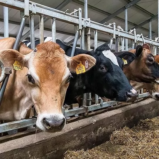 В Парламенте рассмотрят изменения в законодательстве относительно вопросов обращения с отходами животноводства