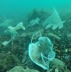 «Отходы пандемии» - ООН призывает страны мира отказаться от пластика