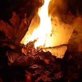 инсинератор цена