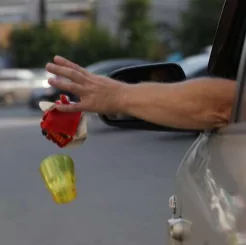 Штрафы за выброс мусора в неположенном месте в разных странах мира