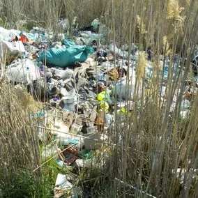 Нарастание экологической проблемы в дельте Волги: как решить проблему утилизации отходов