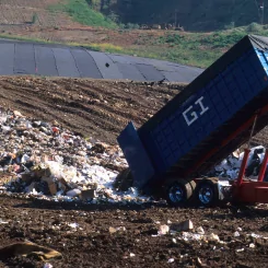 Правила и особенности функционирования мусорных полигонов