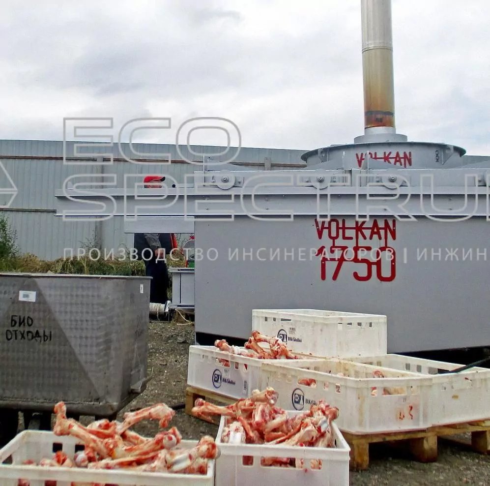 Как функционирует крематор для животных