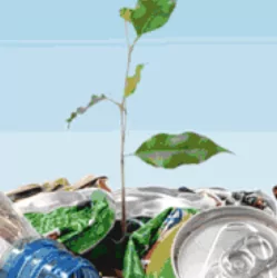 Сроки разложения различных видов ТБО: правила обращения с бытовым мусором