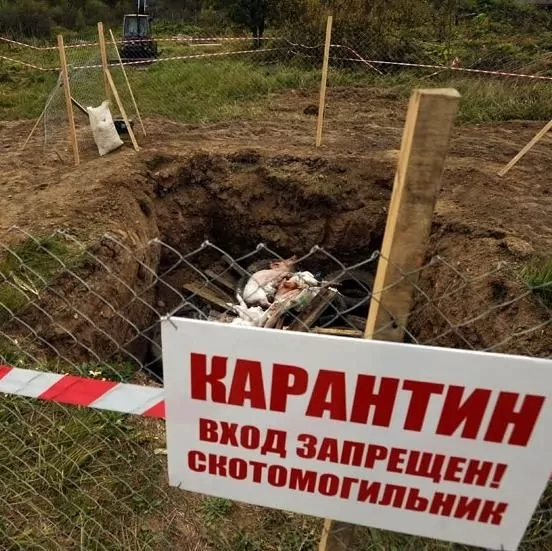 Скотобойни в Башкирии будут ликвидированы