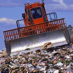 Мусорные полигоны и загрязнение окружающей среды – какое негативное воздействие на экологию оказывают свалки?