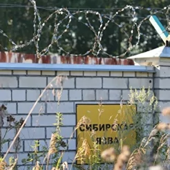 Скотомогильники – экологическая проблема утилизации биологических отходов