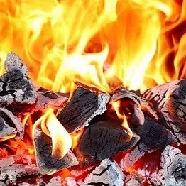 инсинераторы для утилизации отходов