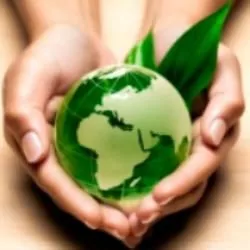 Почему цена инсинератора быстро себя окупает?