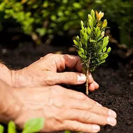 Рациональное использование природных ресурсов: защита окружающей среды