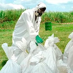 На животноводческом предприятии в Орловской области выявили ряд серьезных нарушений