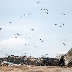 В Краснодарском крае будут реконструировать мусорные полигоны
