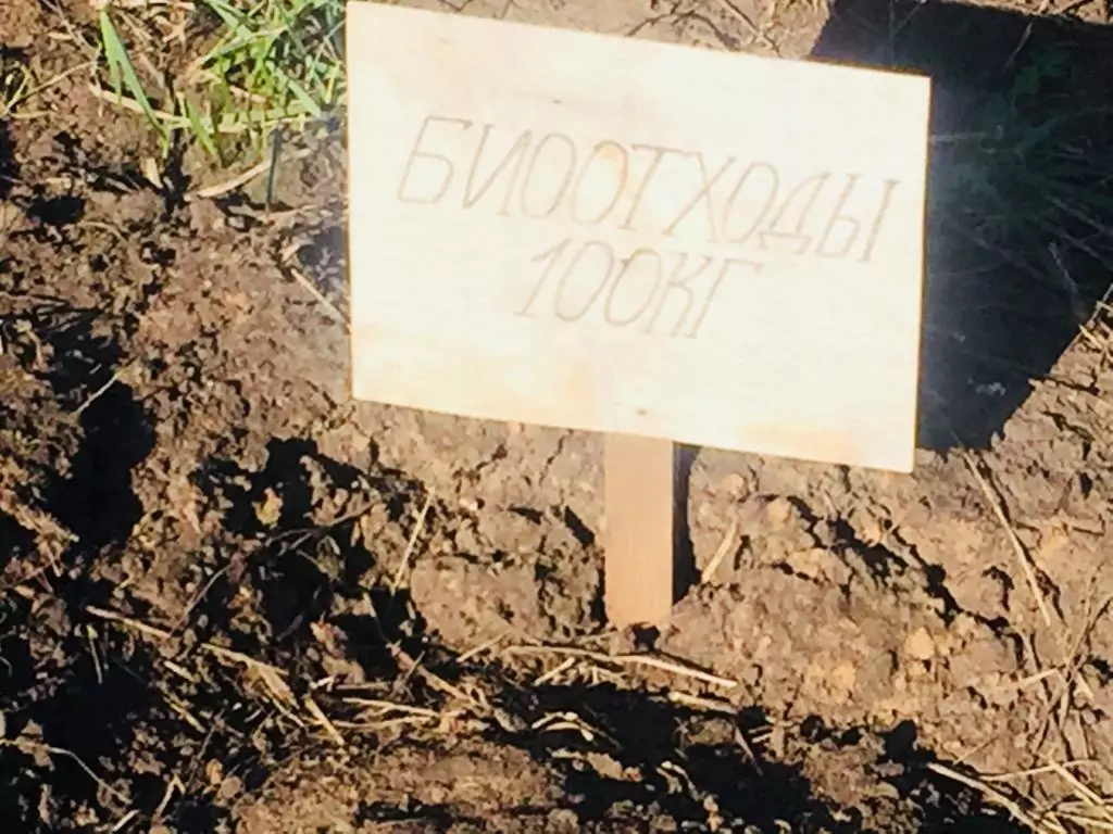 Использование печи для сжигания падежа животных в качестве альтернативы захоронению