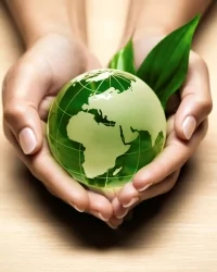 инсинератор цена.jpg