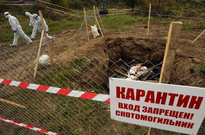 Сельхозпредприятия закупают специальное оборудование для утилизации отходов: крематоры и инсинераторы для сжигания туш животных