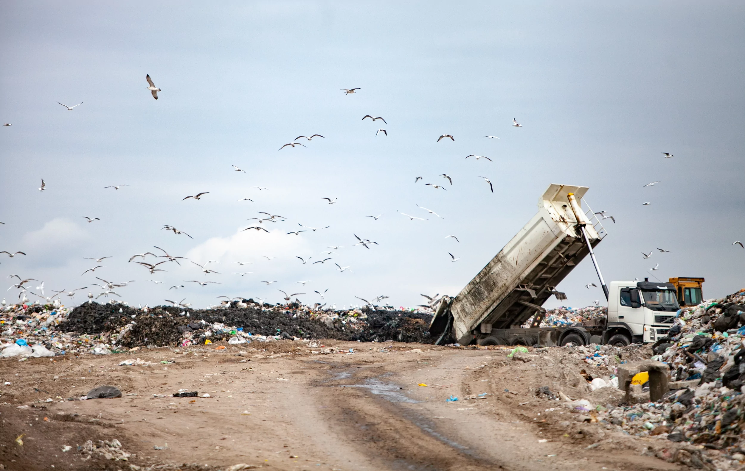 Крематоры Эко-Спектрум. Классификация отходов – утилизация отходов 1-5 класса опасности. Как классифицируют отходы