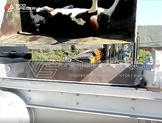 Инсинератор для утилизации биоотходов. Опасные отходы: останки животных